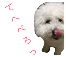 22380223