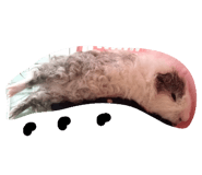22401409