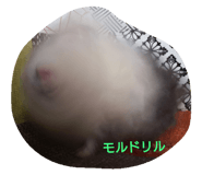22401413