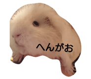 22401420
