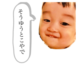 224109262