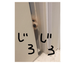 224109526