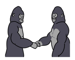 224179034