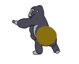 224179036