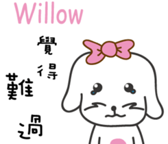 224243639