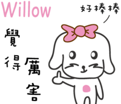 224243645