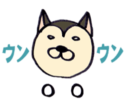 2242625