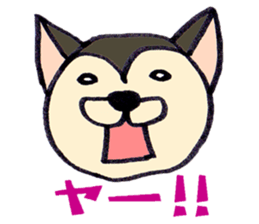 2242635