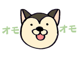 2242638