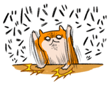 22426474