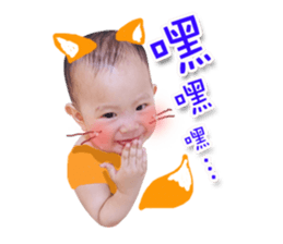 224280018