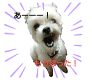 224299550
