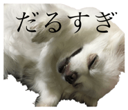 224327108