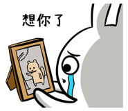 22434510