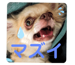 224347226