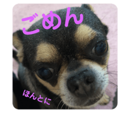 224347230