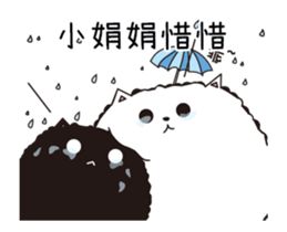 224355434