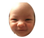 224364081