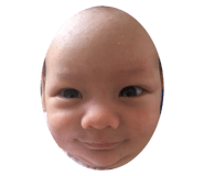 224364085