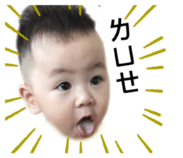 224606165