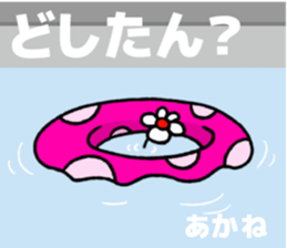 224622306