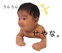 224653131