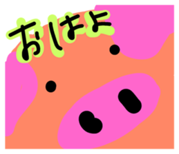22467344