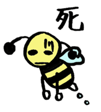 22479969