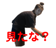 224856024