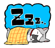 224863225