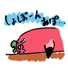 2249053