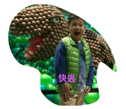225027516