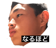 225035445