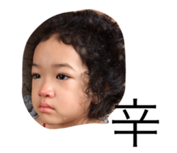 22503821