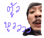22506119