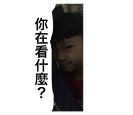 225071660