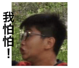 225071661