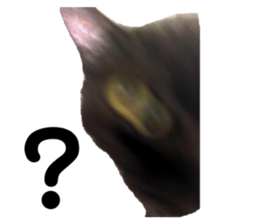225181112