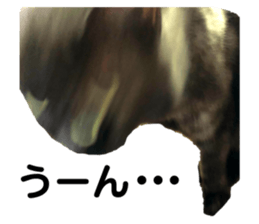 225181113