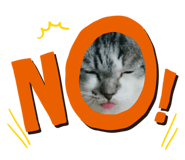 225327238