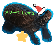 22534856