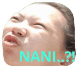 225348754