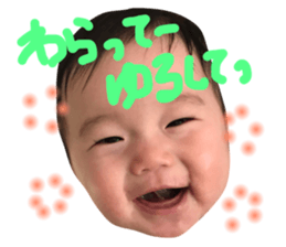 22542391