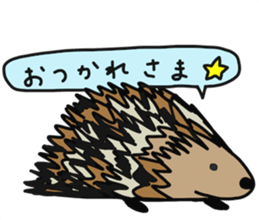 225427500
