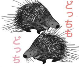 225427512