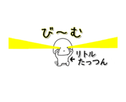 225509081