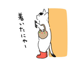 225533