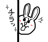 22556089