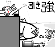 22556095