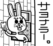 22556098